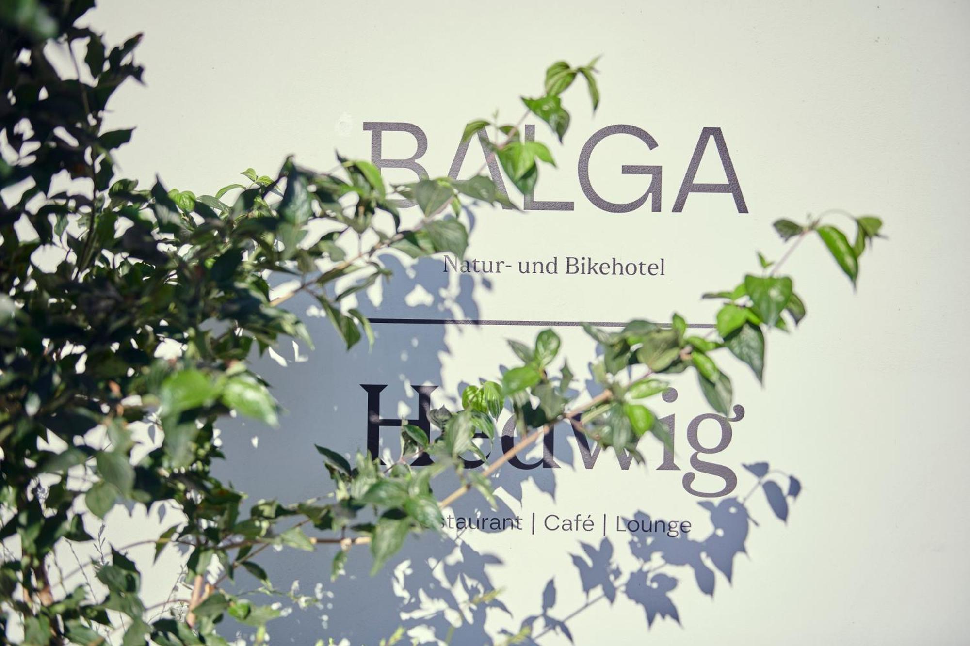 Hotel Balga Natur- Und Bikehotel Balgach Экстерьер фото